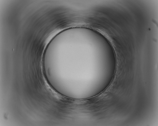 X0000101221440200807111046