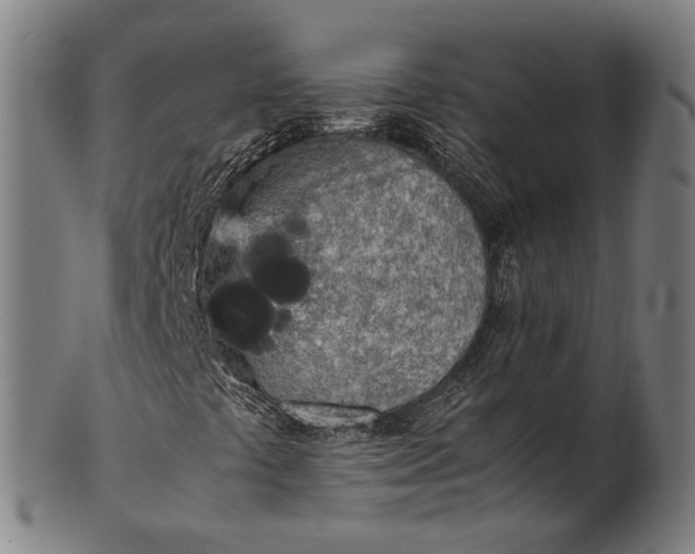X0000101221441200807111045