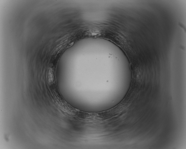 X0000101221442200807111045