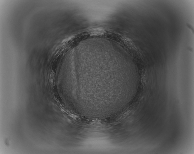 X0000101221445200807111045