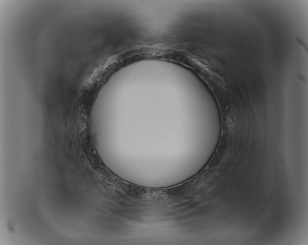 X0000101221447200807111045