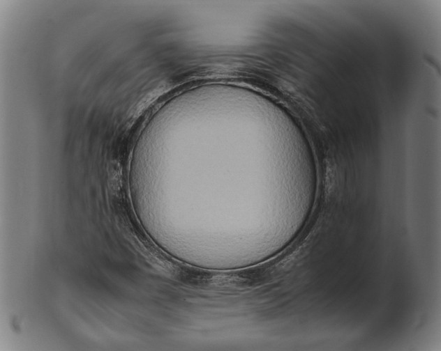 X0000101221449200807111045