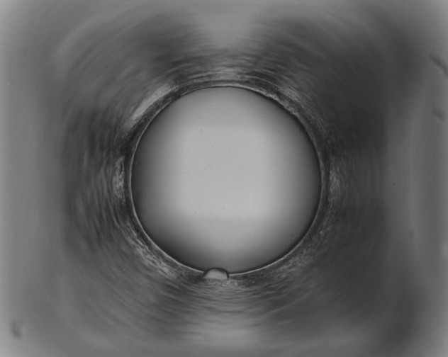 X0000101221450200807111045