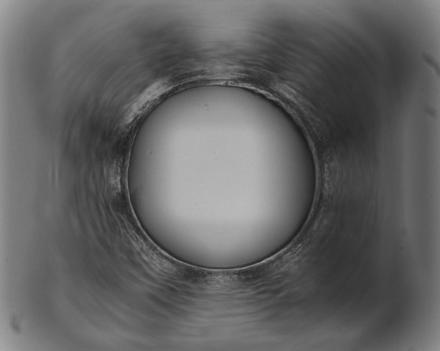 X0000101221451200807111045