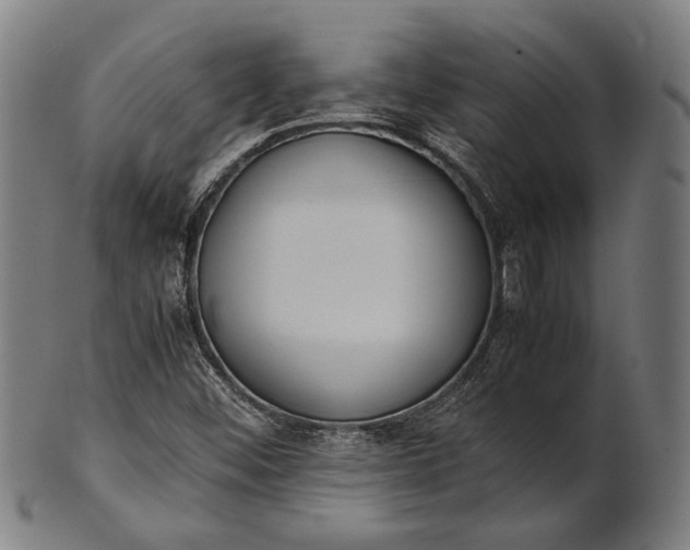 X0000101221452200807111045