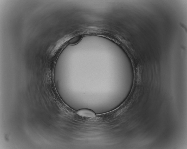 X0000101221453200807111045