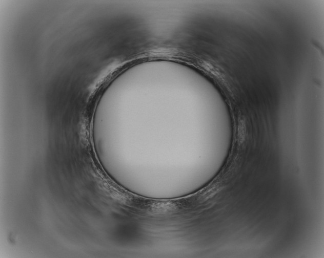 X0000101221454200807111045