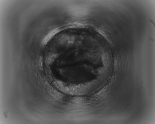 X0000101221455200807111045