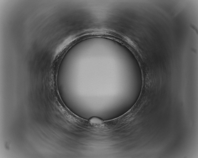 X0000101221456200807111045