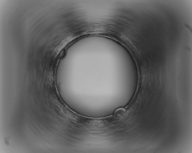 X0000101221457200807111045