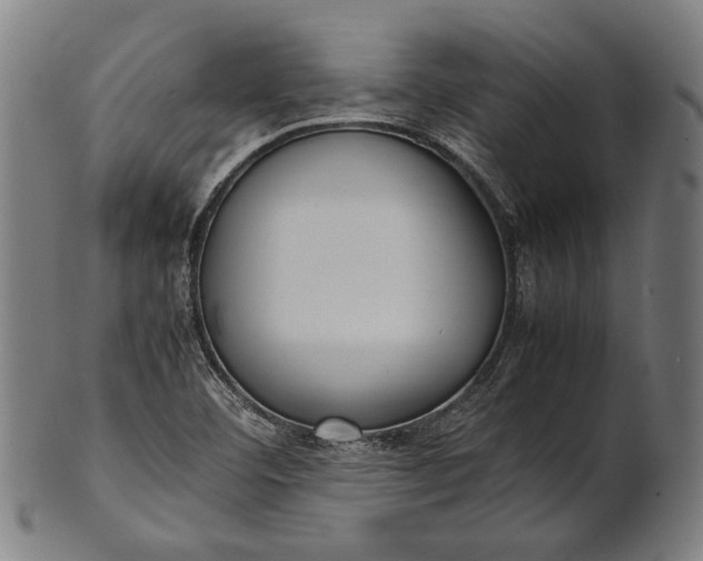 X0000101221460200807111045