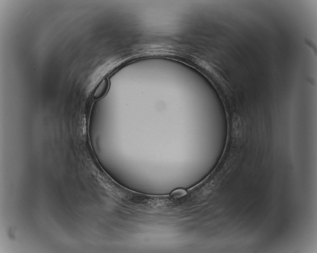 X0000101221461200807111045