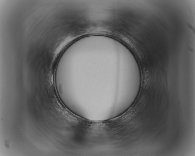 X0000101221462200807111045