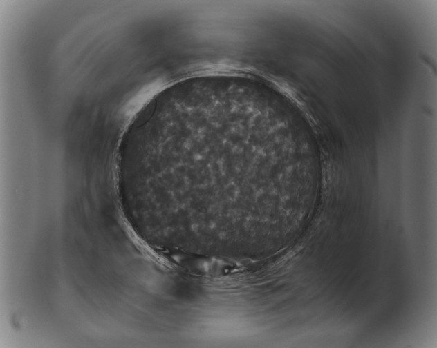 X0000101221463200807111045