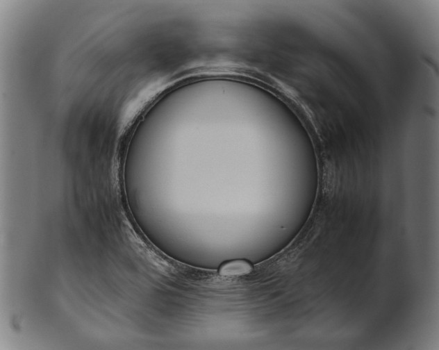 X0000101221464200807111045