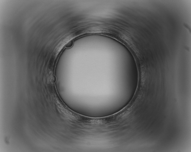 X0000101221465200807111045