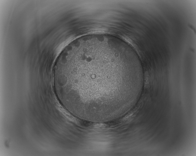 X0000101221467200807111045