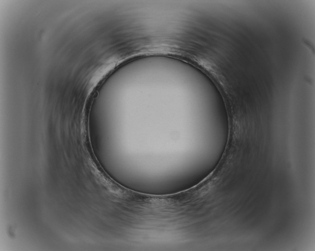 X0000101221469200807111045