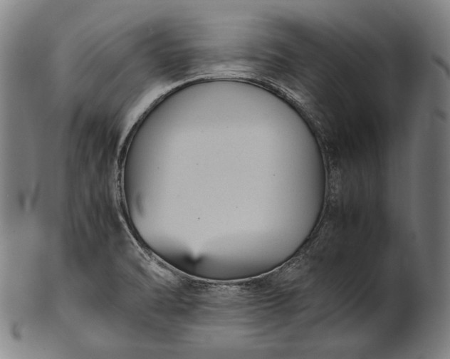 X0000101221470200807111045