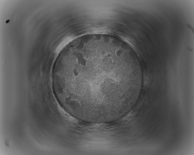 X0000101221471200807111045