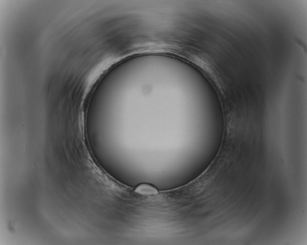X0000101221472200807111045