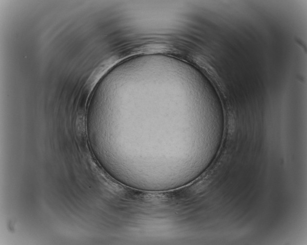 X0000101221473200807111045
