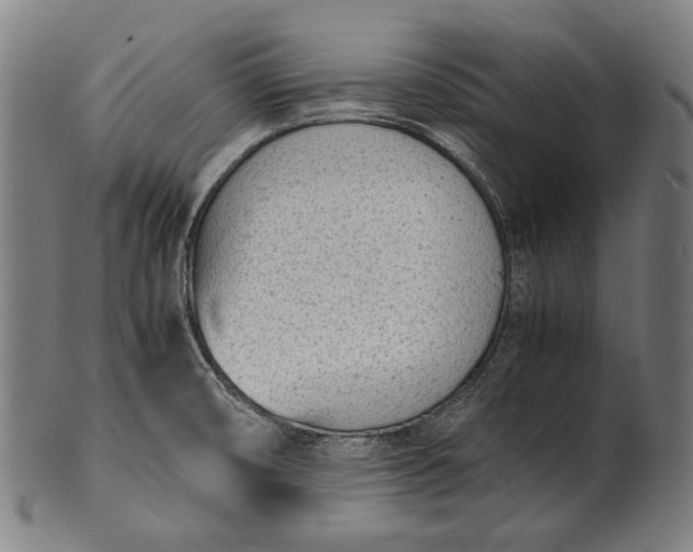 X0000101221474200807111045