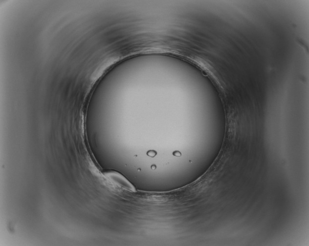X0000101221476200807111045