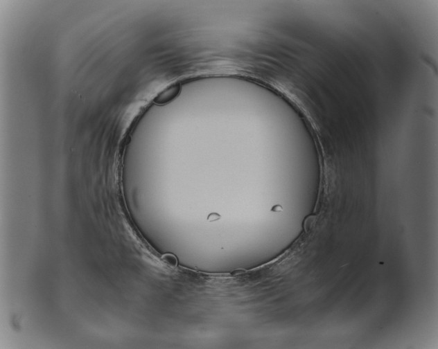 X0000101221477200807111045