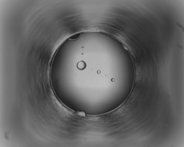 X0000101221484200807111045