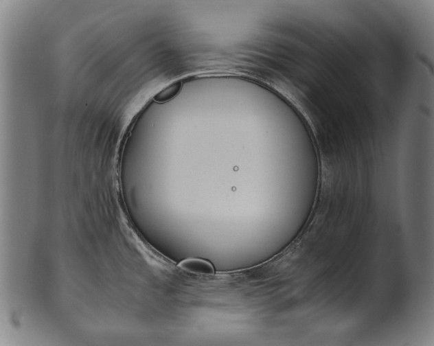 X0000101221485200807111045