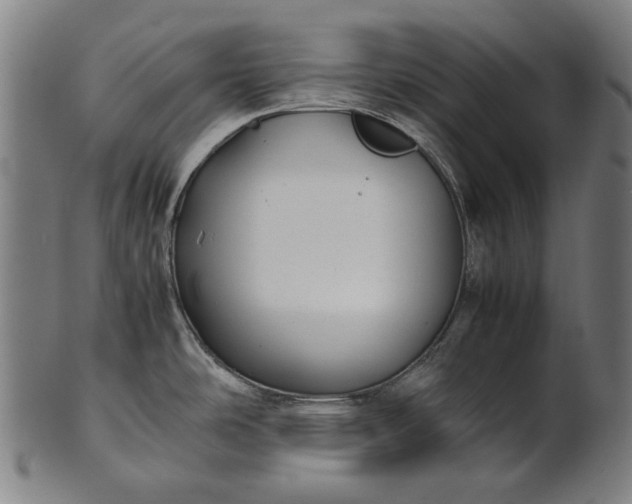 X0000101221486200807111045