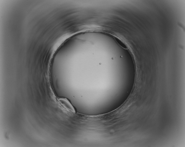X0000101221488200807111045