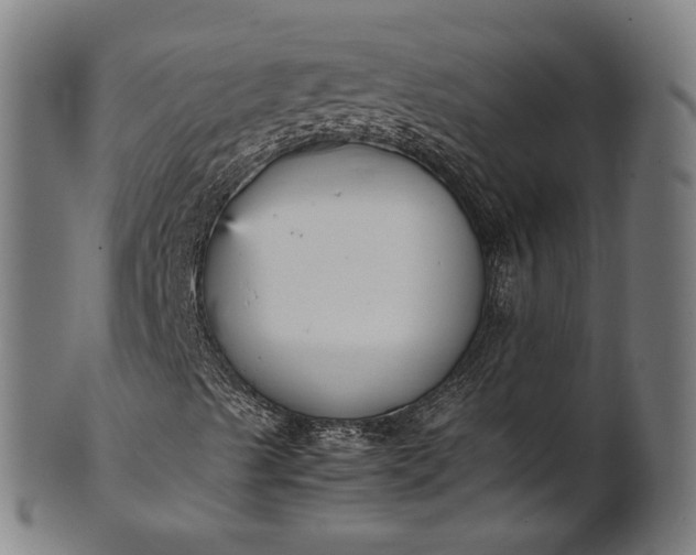 X0000101221489200807111044