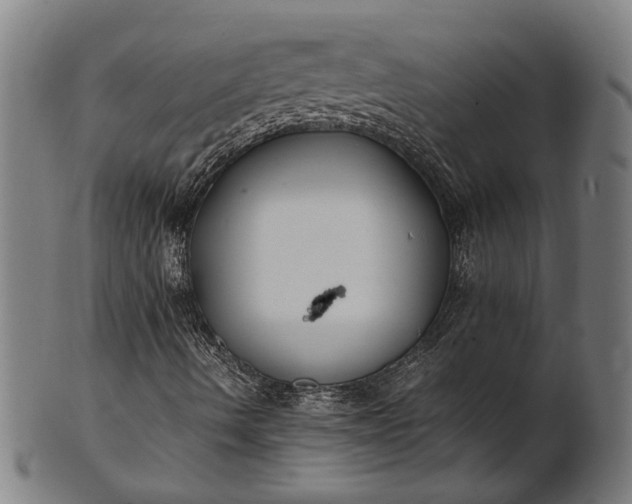 X0000101221490200807111044