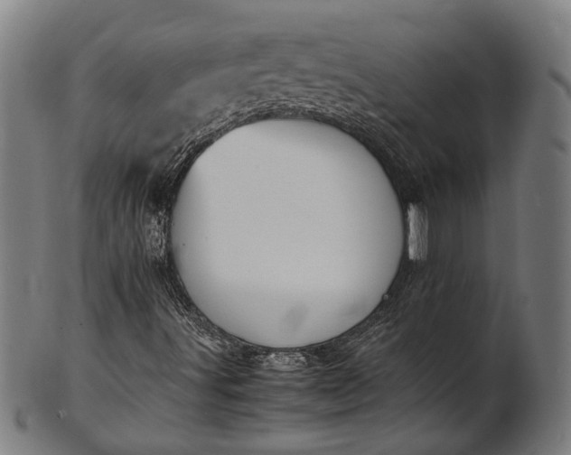 X0000101221491200807111044