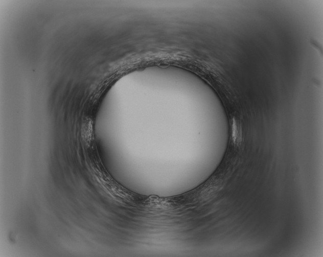 X0000101221492200807111044