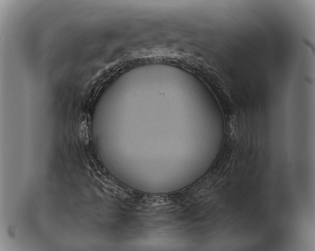 X0000101221493200807111044