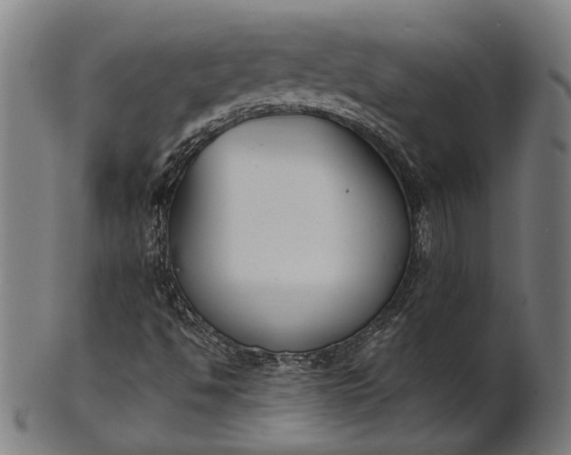 X0000101221494200807111044