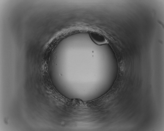X0000101221495200807111044
