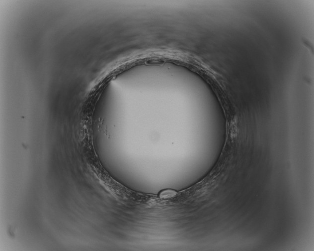 X0000101221496200807111044