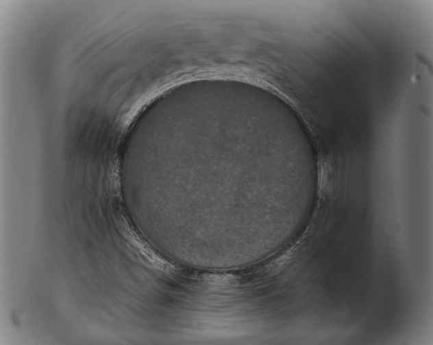 X0000101221498200807111044