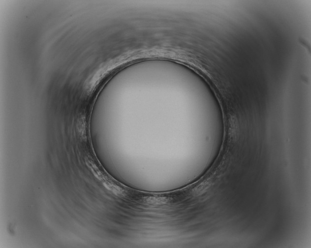 X0000101221499200807111044