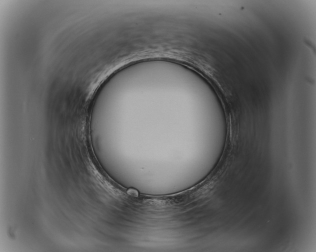 X0000101221500200807111044