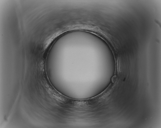 X0000101221501200807111044