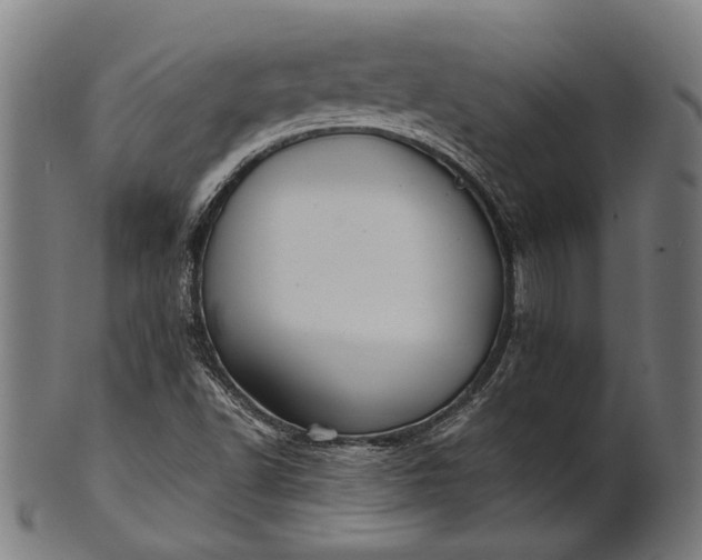 X0000101221502200807111044
