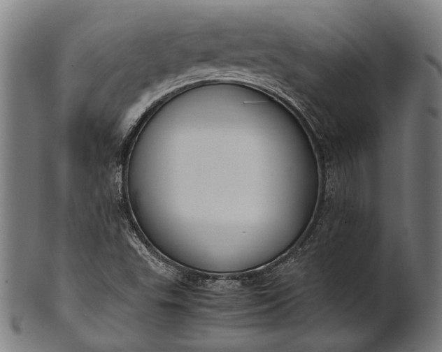 X0000101221503200807111044
