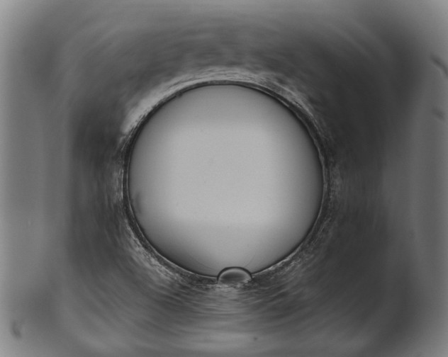 X0000101221504200807111044