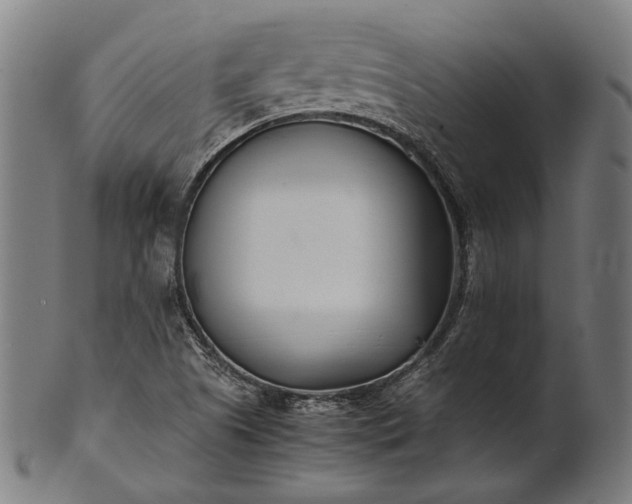 X0000101221505200807111044