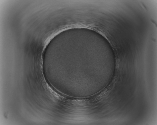 X0000101221508200807111044